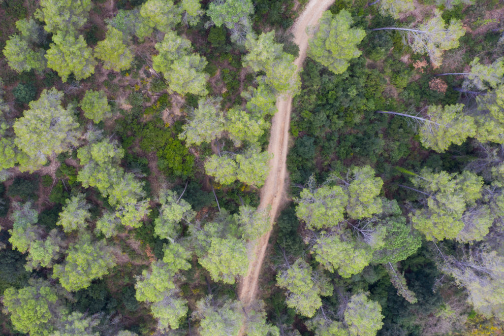 Fotografía aérea con drones